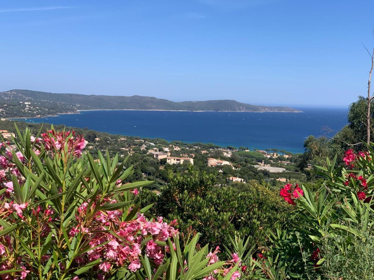 Villa Cacharelle Vue Mer Piscine Cavalaire-sur-Mer Exteriör bild