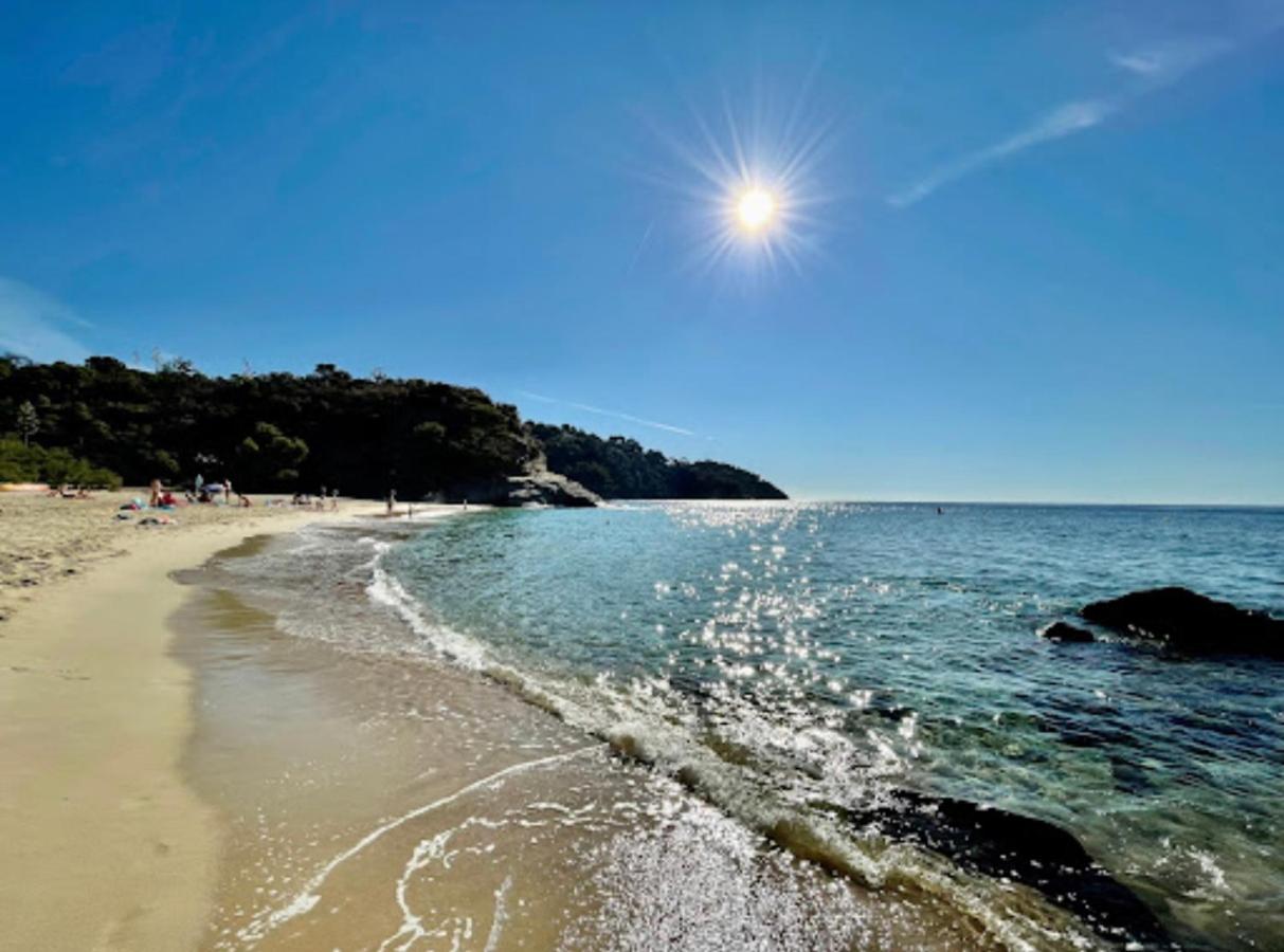 Villa Cacharelle Vue Mer Piscine Cavalaire-sur-Mer Exteriör bild